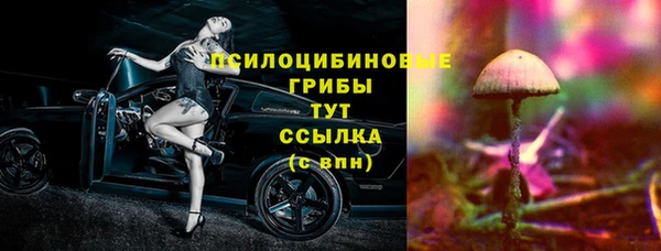 стаф Баксан